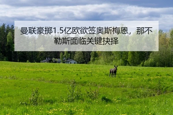 man-lian-hao-zhi-yi-ou-yu-qian-ao-si-mei-en-na-bu-le-si-mian-lin-guan-jian-jue-ze-2-501.jpg