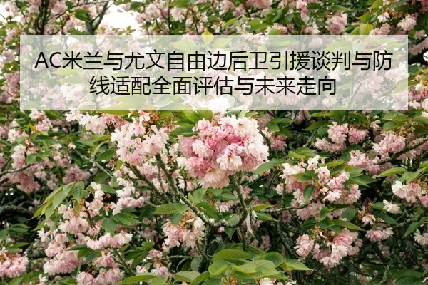 mi-lan-yu-you-wen-zi-you-bian-hou-wei-yin-yuan-tan-pan-yu-fang-xian-shi-pei-quan-mian-ping-gu-yu-wei-lai-zou-xiang-2-131.jpg